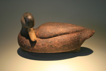 Black Duck - cork - lightened