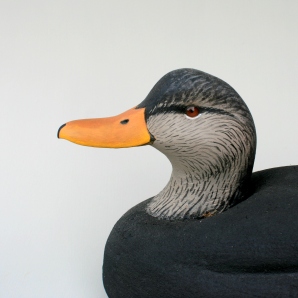 Black Duck Foamer C - Closeup lightened