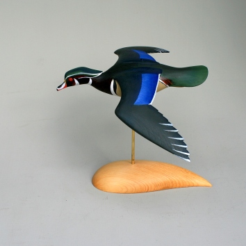 Wood Duck Flyer - half-size. Basswood in oils, can also be hung from ceiling. $250