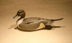 Decoys & Carvings - Pintail