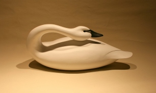 Decoys & Carvings - Tundra Swan
