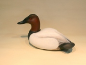 Decoys & Carvings - Canvasback