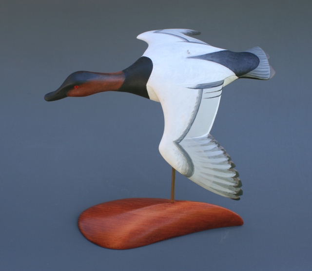 Canvasback Flyer A
